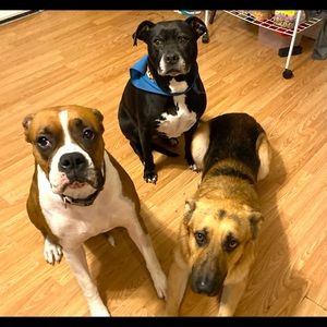 Meet your Posher, Krystal